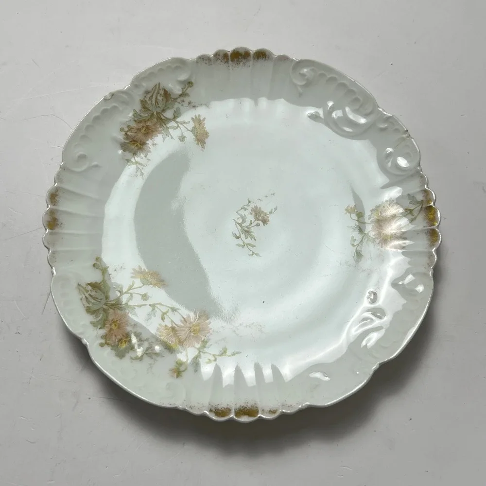 B&T Limoges France Salad Plate 9.75